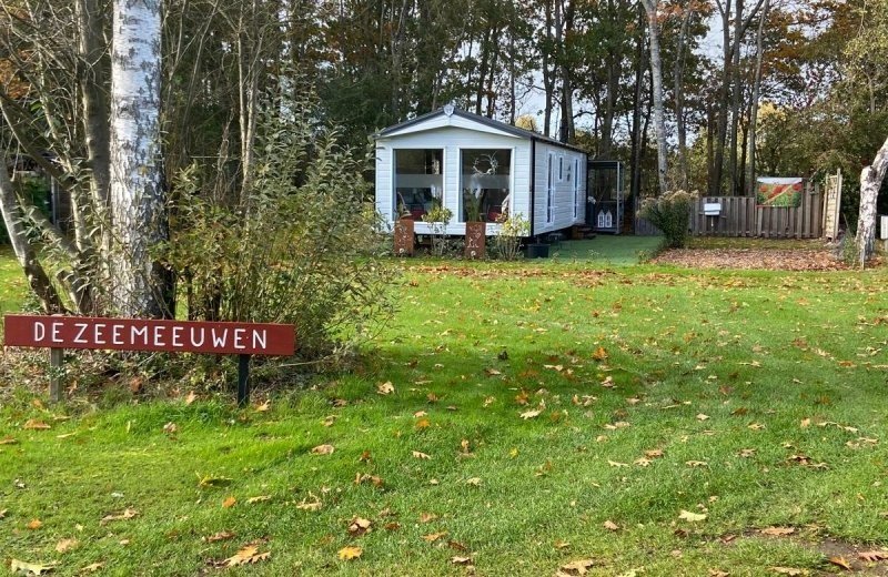 Afbeelding van whatsapp op 2025 10 27 om 11 04 01 36b9c572